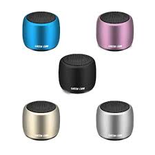 GREEN LION MINI SPEAKER