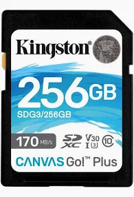 KINGSTON SD CARD 256GB