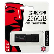 KINGSTON USB 256GB